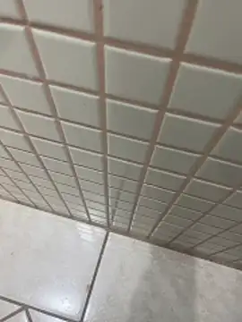 morenalinda22 online show from March 11, 2026, 4:01 pm