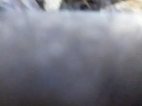 Snapshot of Joecool1009 chatting on February 3, 2026, 12:32 am Joecool1009 online show from February 3, 2026, 12:32 am