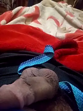 Snapshot of Al-Hari chatting on February 8, 2026, 6:05 pm Al-Hari online show from February 8, 2026, 6:05 pm