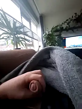 Bashard online show from February 12, 2026, 7:41 am