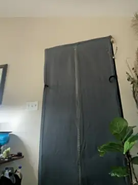 SwordStallionVibes online show from February 19, 2026, 4:37 pm