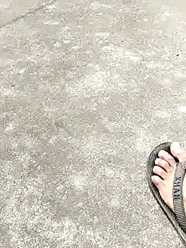 Snapshot of collboy8166 chatting on February 16, 2026, 6:12 am collboy8166 online show from February 16, 2026, 6:12 am