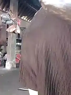 Nhoccon90 online show from March 16, 2026, 5:44 am