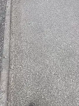 stallone italiano 62 online show from April 12, 2026, 6:16 am