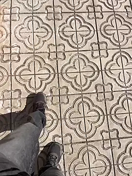 stallone italiano 62 online show from March 25, 2026, 9:41 am