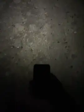 Snapshot of stallone_italiano_62 chatting on February 17, 2026, 11:24 pm stallone italiano 62 online show from February 17, 2026, 11:24 pm