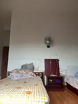 Chery mup online show from March 8, 2026, 2:04 am