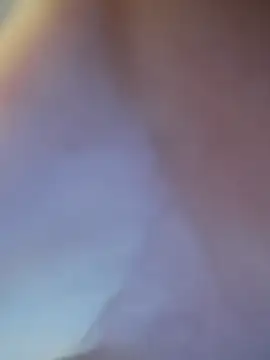 fifo9000 online show from February 9, 2026, 6:44 am