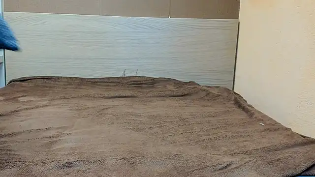 Snapshot of PinkyTwerkyX chatting on September 9, 2025, 11:52 am PinkyTwerkyX online show from September 9, 2025, 11:52 am