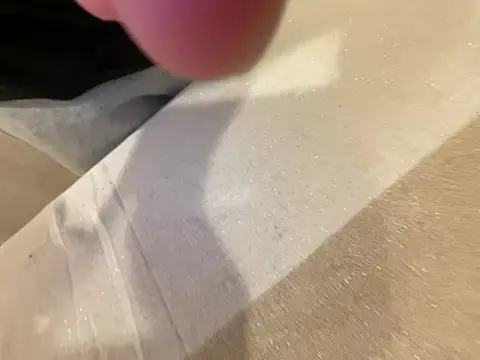 Snapshot of EddyRise- chatting on February 15, 2026, 6:07 pm EddyRise- online show from February 15, 2026, 6:07 pm