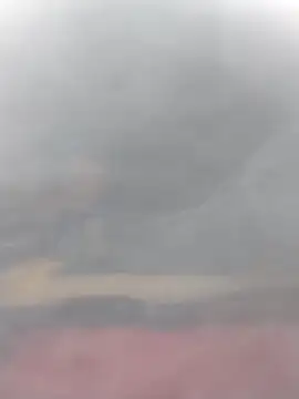 cobrosdepagos online show from March 14, 2026, 3:07 pm