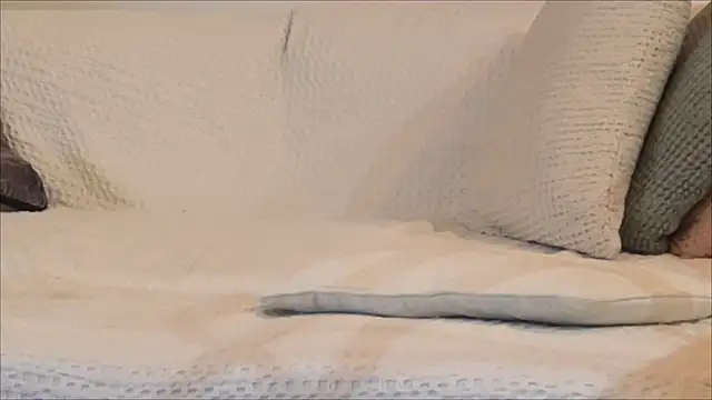 irohsako online show from April 22, 2026, 8:37 pm