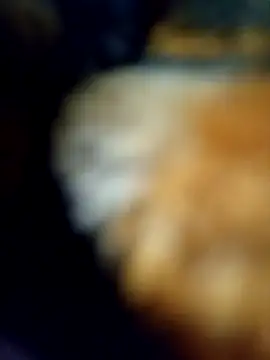 Snapshot of Avinh_09 chatting on February 15, 2026, 5:23 pm Avinh 09 online show from February 15, 2026, 5:23 pm