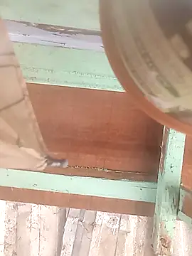 euchapo99 online show from February 19, 2026, 1:52 pm