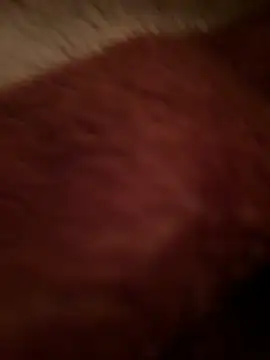 Crevette311 online show from December 22, 2025, 9:15 pm