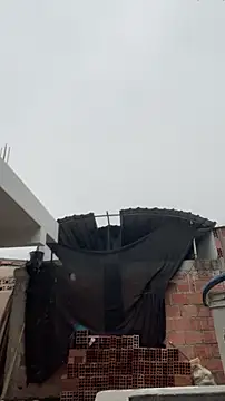 walterktm online show from March 24, 2026, 4:29 pm