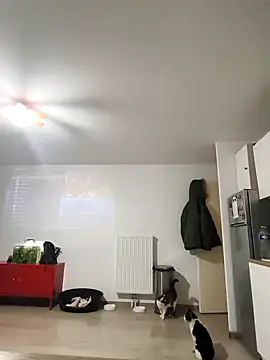 eruzam59000 online show from March 7, 2026, 7:04 am