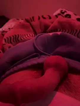 689Nika online show from March 13, 2026, 7:57 am