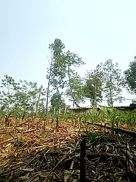 lyly sexx online show from April 14, 2026, 7:02 am