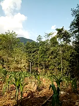 lyly sexx online show from April 11, 2026, 1:02 am