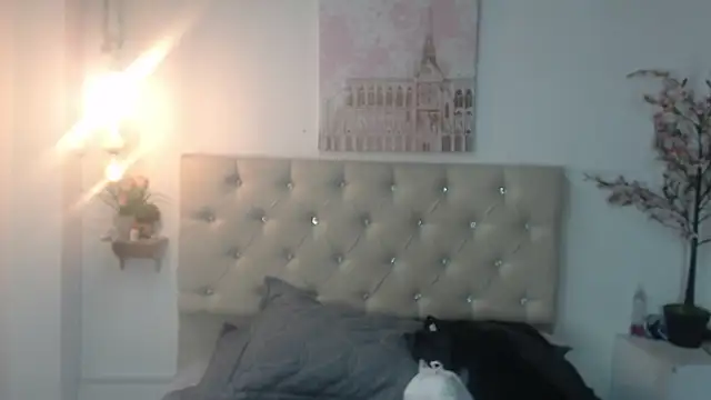 Snapshot of Rommen_N_Zoe chatting on May 23, 2026, 6:51 pm Rommen N Zoe online show from May 23, 2026, 6:51 pm
