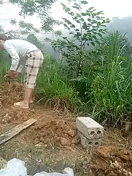 dualeo11 online show from March 29, 2026, 2:46 am