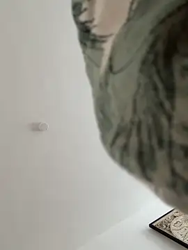 SkinnyLilly online show from June 1, 2026, 5:23 pm