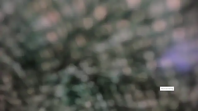 IVONE ASHAR online show from March 14, 2026, 3:18 pm