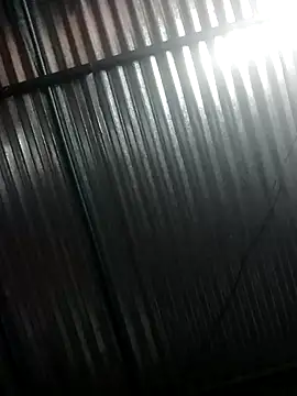 bombom 20 online show from March 31, 2026, 11:34 am