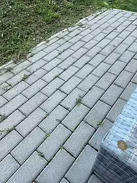 teencouple1313 online show from April 8, 2026, 6:37 am