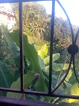 vergab1234 online show from April 20, 2026, 10:44 pm