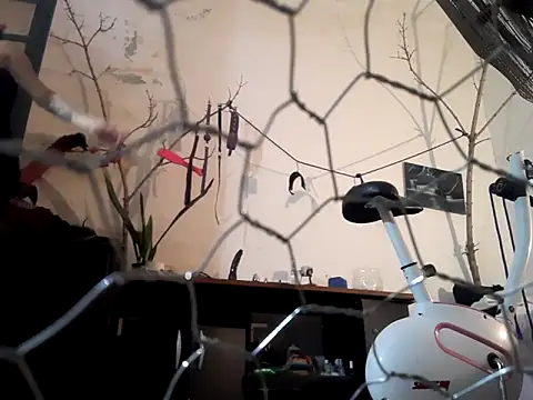 magdadom online show from March 28, 2026, 5:47 pm