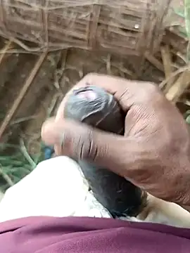 sanju 5418 online show from April 11, 2026, 6:21 am