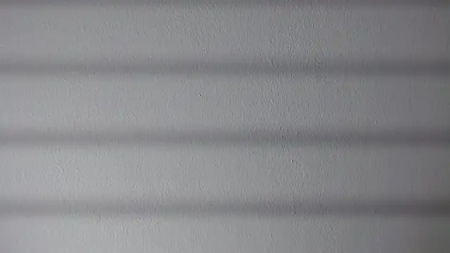 crystal watson0 online show from March 23, 2026, 12:49 pm