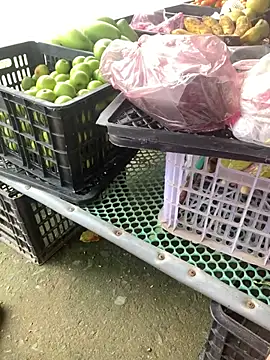 tieuvy6 online show from March 24, 2026, 7:41 am