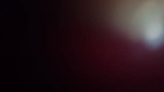 leilei998 online show from April 1, 2026, 11:11 am