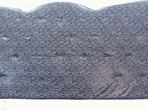 Salome bichtxx online show from April 10, 2026, 6:37 pm