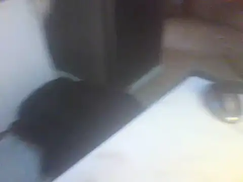 Likhona02 online show from April 2, 2026, 7:48 am