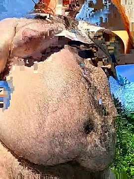 Snapshot of RickErtler chatting on May 13, 2026, 12:06 am RickErtler online show from May 13, 2026, 12:06 am