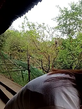 meg 06 online show from March 27, 2026, 12:19 am