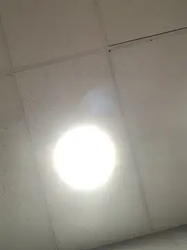 Cataleya2026 online show from April 17, 2026, 2:03 am