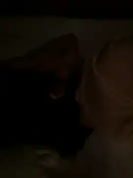 tanhualang001 online show from April 15, 2026, 12:05 am