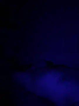 Diversified Reality online show from April 9, 2026, 10:43 am