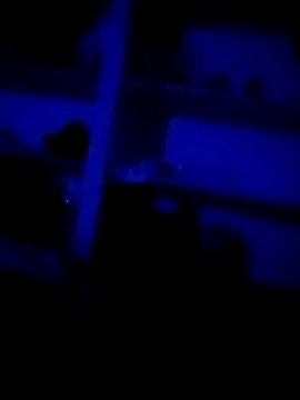 DKD-TELUGU36 online show from April 4, 2026, 9:32 pm