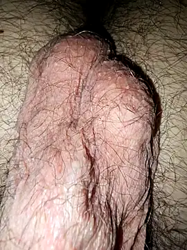 GranBelCazzo online show from April 3, 2026, 11:55 pm