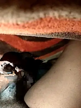 chickelikeme online show from April 9, 2026, 2:02 am