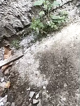 Rocky pune online show from April 16, 2026, 3:40 am