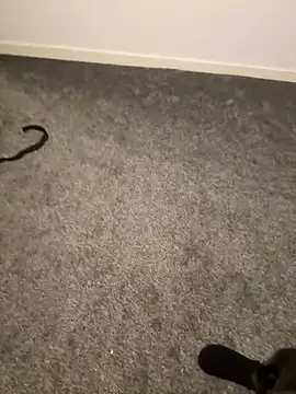 blackfurr online show from April 20, 2026, 5:58 pm