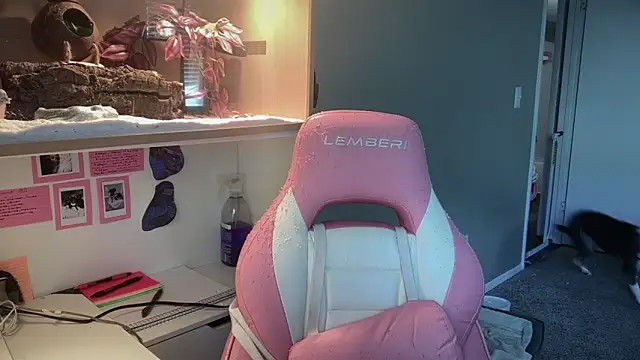 MUSCLEMOMMY1365 online show from April 29, 2026, 5:30 pm