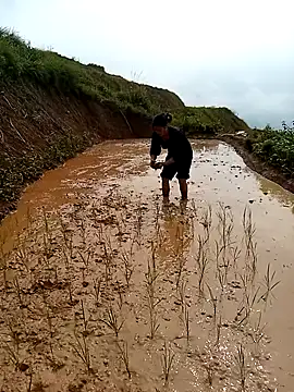 LucyBri01 online show from April 18, 2026, 2:03 am